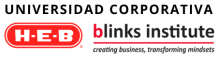 Blinks Institute