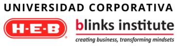 Blinks Institute